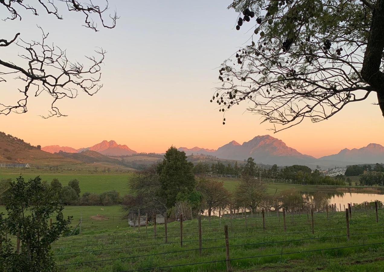 Wildlife Retreat On A Wine-Farm Villa Stellenbosch Dış mekan fotoğraf